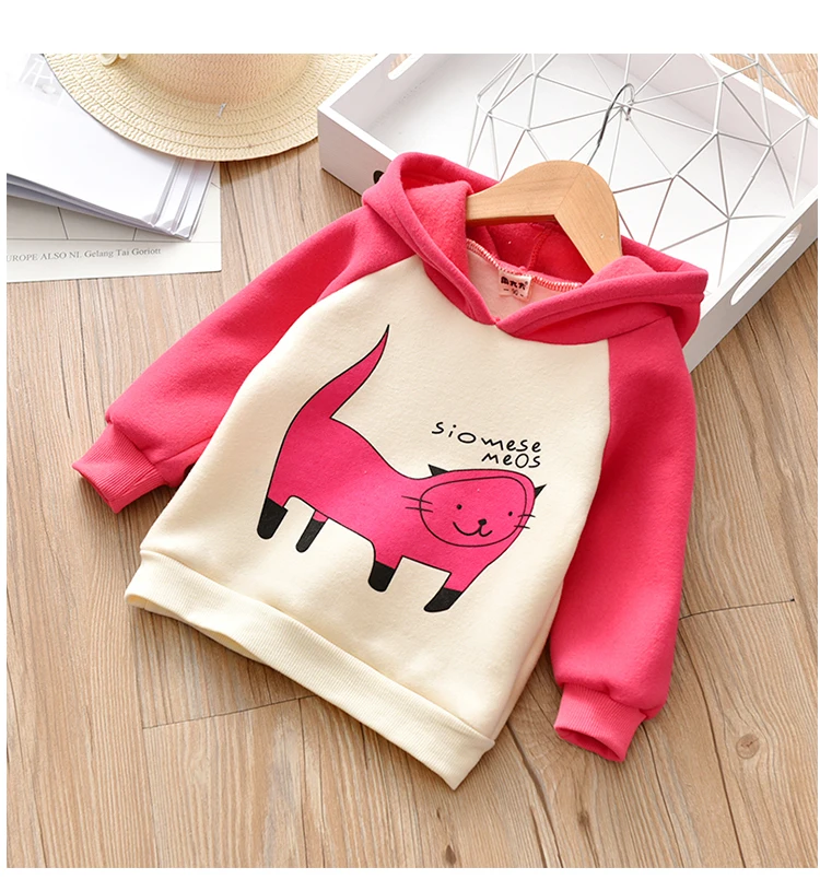 

Теплая одежда для девочек; Сезон весна-осень; Тонкое флисовое пальто для маленьких мальчиков и девочек; Свитер с длинными рукавами; Осенняя ...