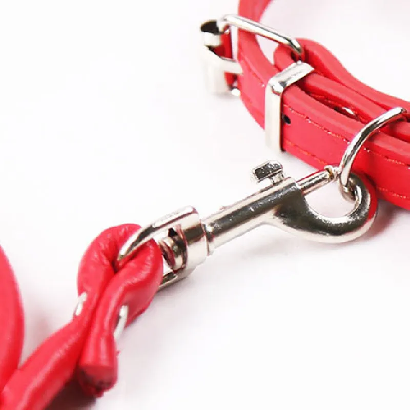 

pet dog cat color bell collar with leather accessories for small dog suit for harness cat kitten chihuahua pug and kitten collar