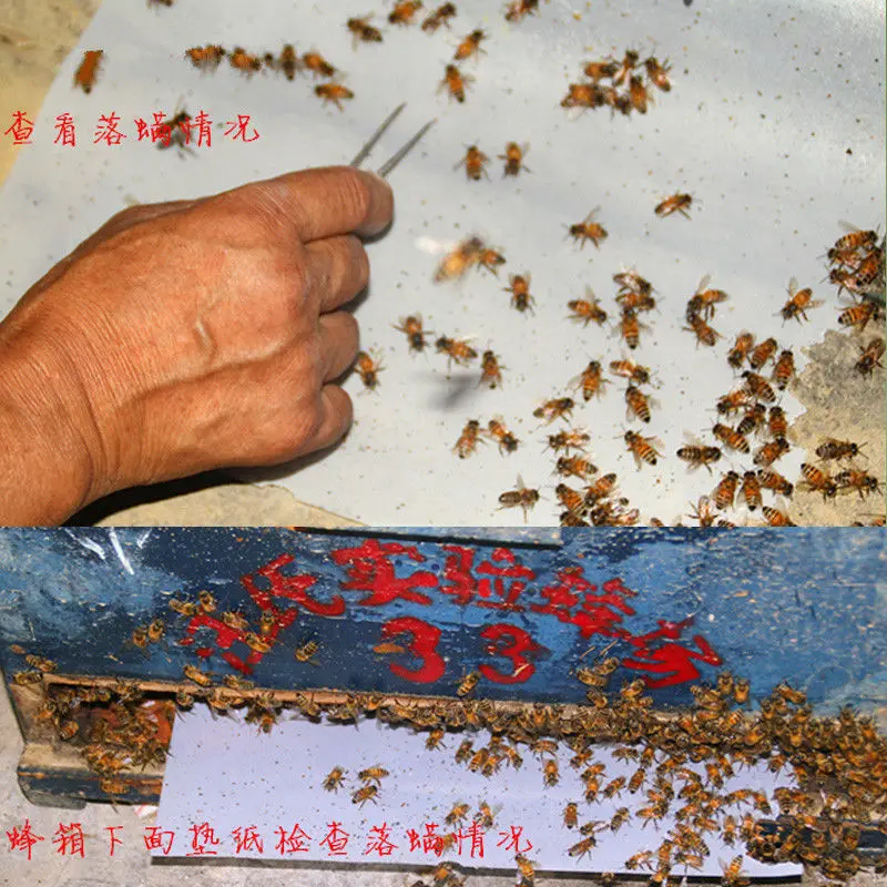 200pcs 5package pounce on sichuan wangs a top four pounce xin pounce on the size of the bee medicine good hanging tablets bee free global shipping