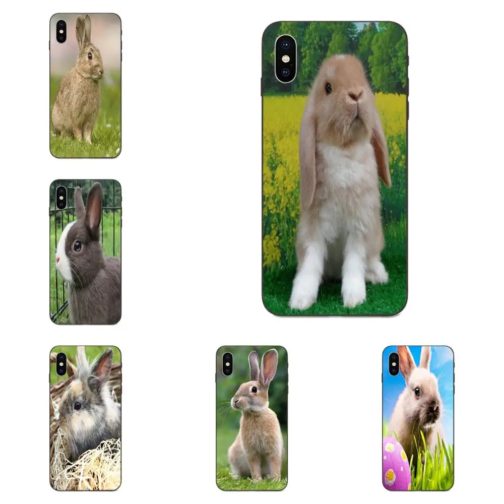 Защитный чехол для Huawei nova 2 2S 3i 4 4e 5i Y3 Y5 II Y6 Y7 Y9 Lite Plus Prime Pro 2017 2018 2019|Бамперы| |