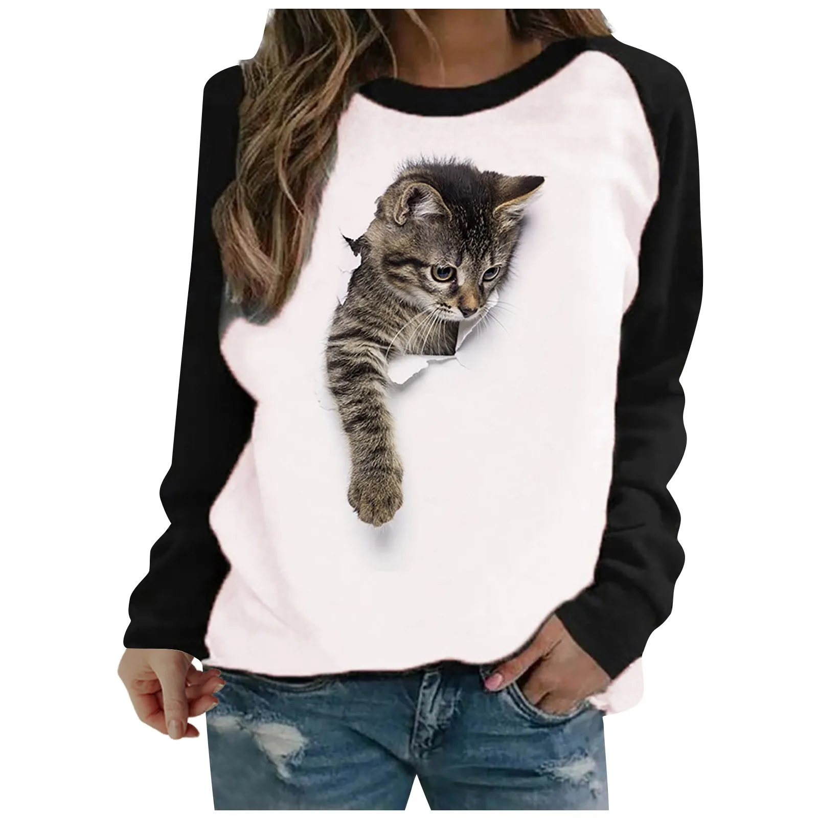 

Funny Cat 3D Printing Tops Female Autumn Winter Pullover Cute Animals Pattern Sweatshirts Pullover Women Harajuku Sweat Femme