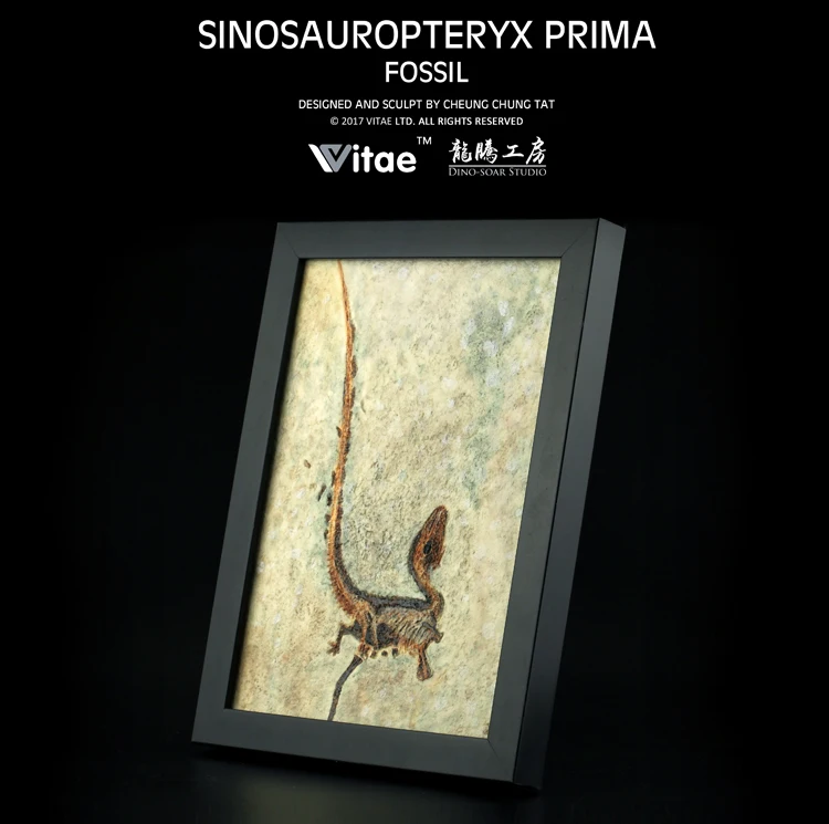 Оригинальная модель динозавра (синозавроптерикс Прима) ископаемая копия