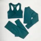 Бесшовный комплект для йоги, Привлекательный красивый спортивный бюстгальтер на спине, кроп-Топ с длинным рукавом, спортивная одежда для тренировок в тренажерном зале