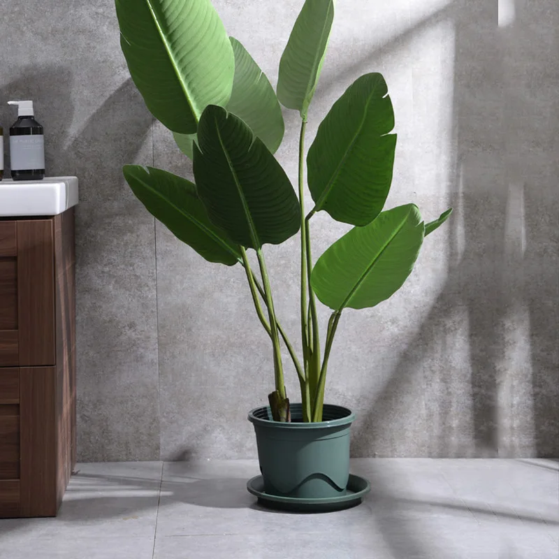 Раковина Tubby 1 галлон раковина для рассады корней большой очень толстый