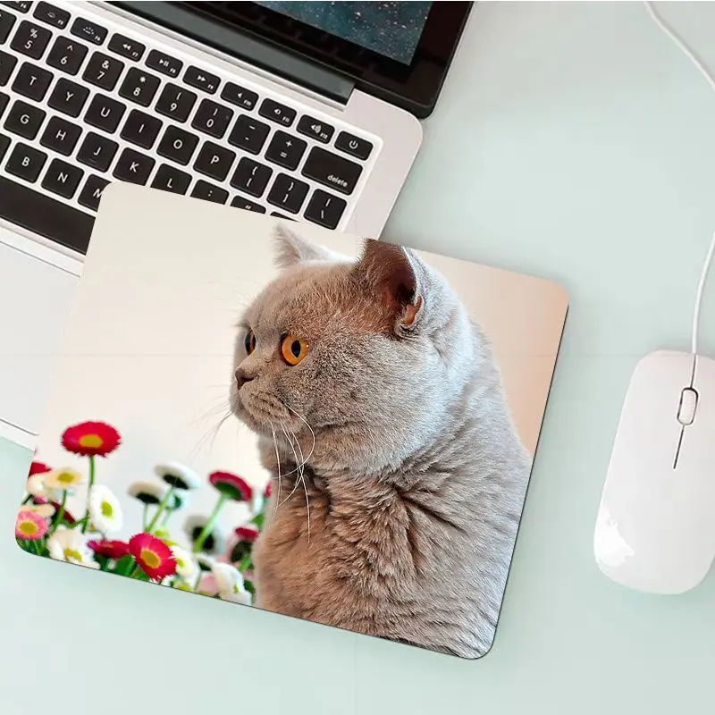 

RuiCaiCa In Stocked Shorthair cat Office Mice Gamer Soft Mouse Pad Smooth Writing Pad Desktops Mate gaming mouse pad