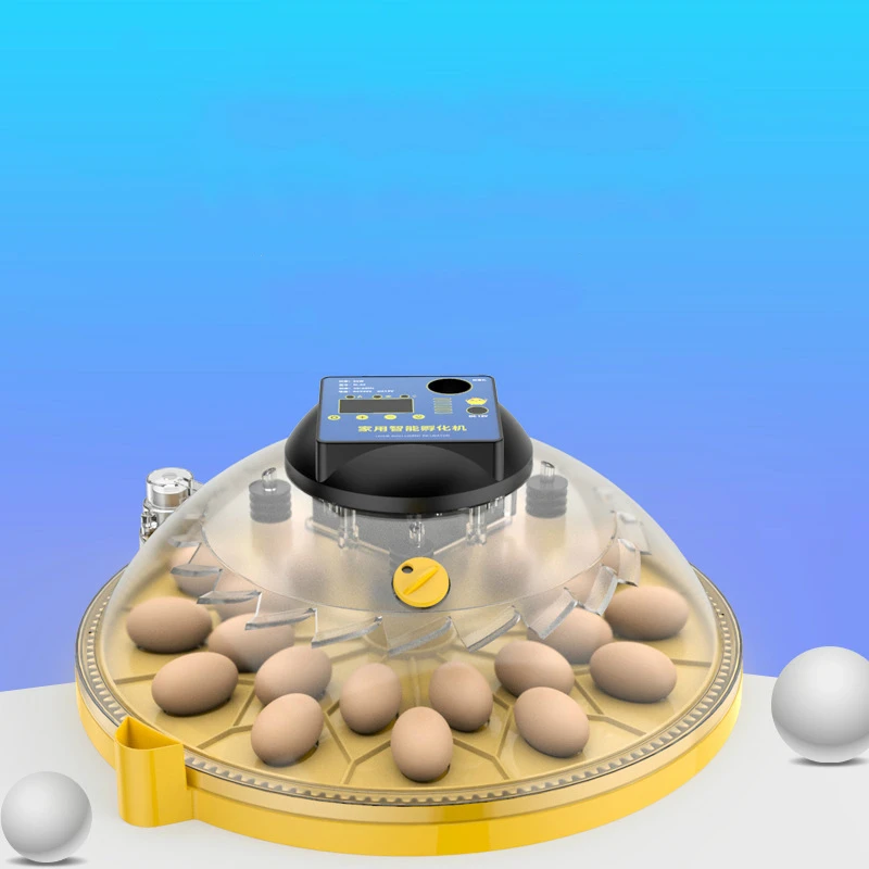 

Инкубатор для кур, уток, голубей, домашний инкубатор, автоматический контроль температуры