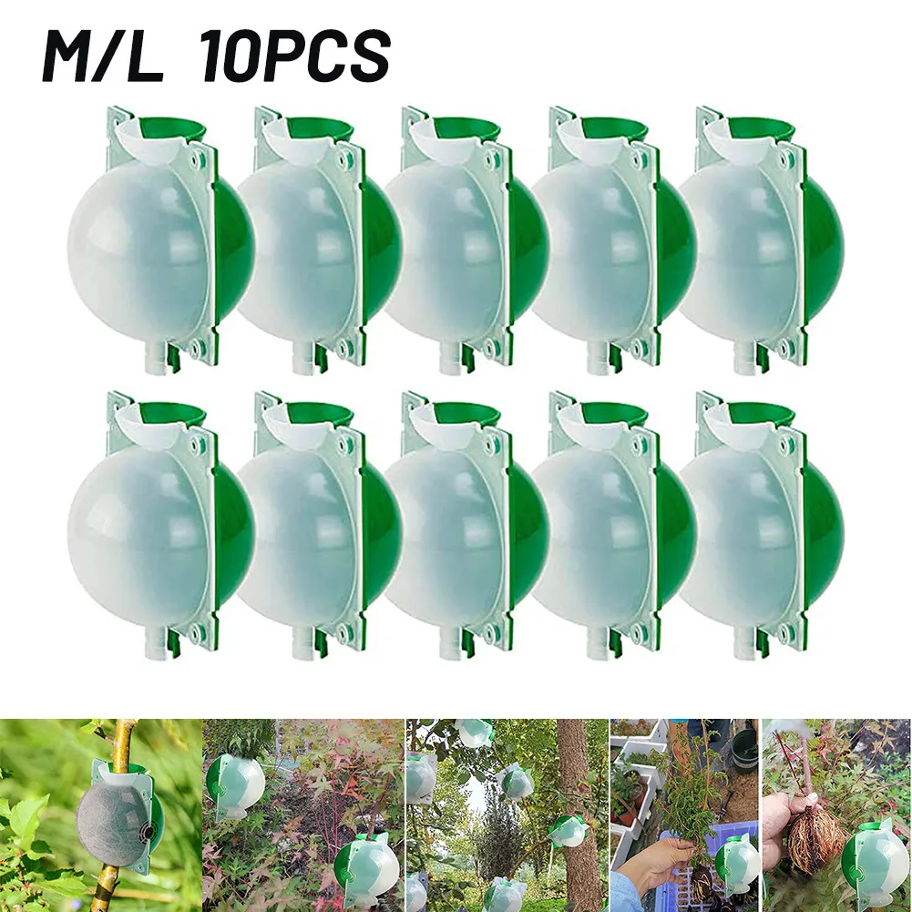 

10 Pcs Plant Rooting Box Grafting High Pressure PP Plastic Propagation