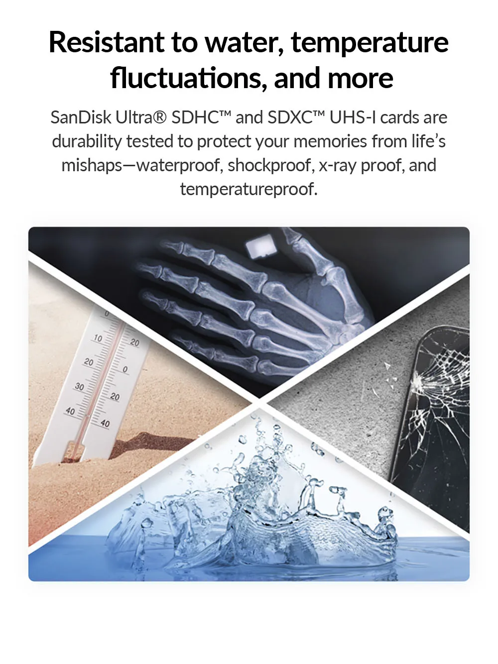 SanDisk   SDHC/SDXC,  10, 16 , 32 , 64 , 128