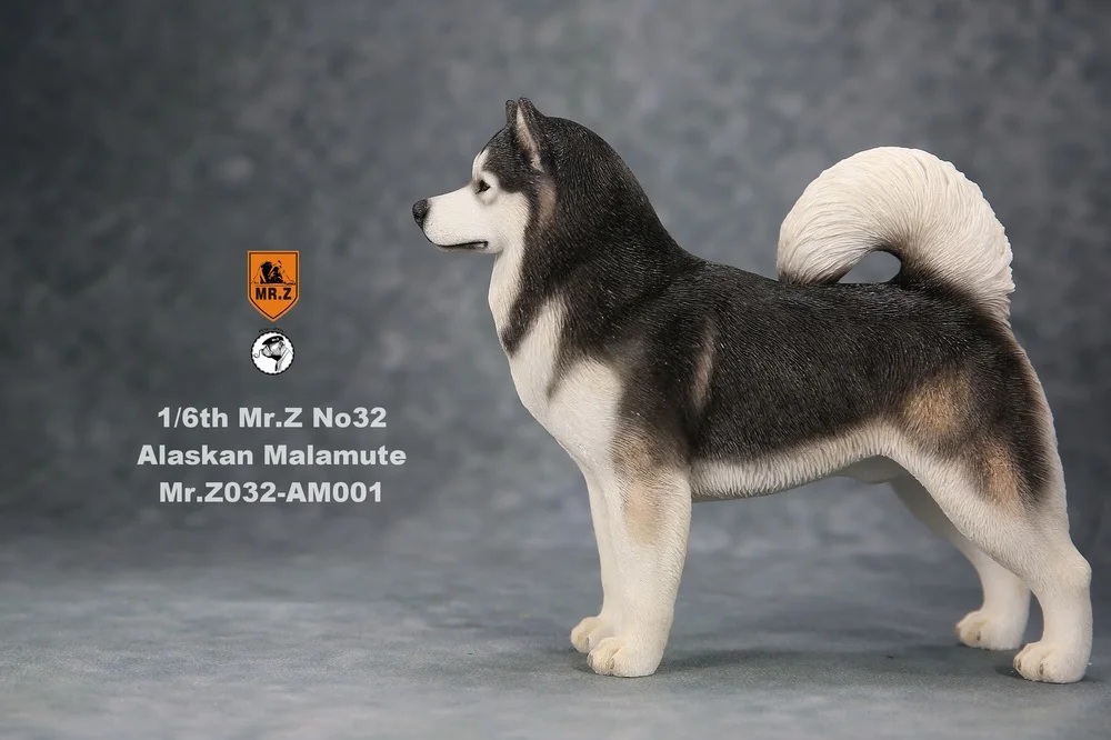 В наличии Коллекционная 1/6 весы Mr.Z No.032 самоед собака животное фигурку модель