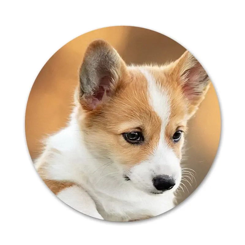 Значки для одежды и рюкзака 58 мм | Дом сад