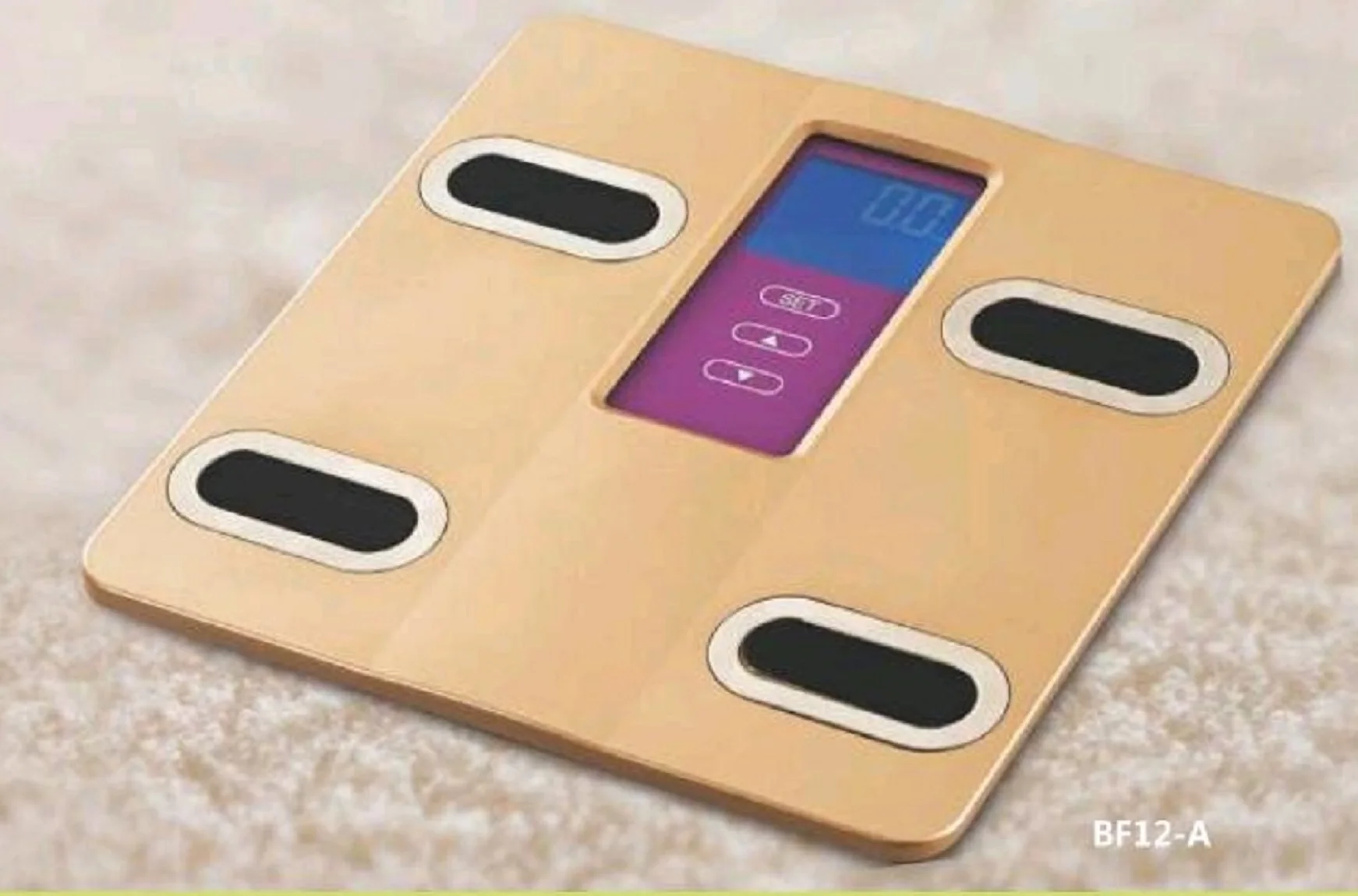 

Fat scale