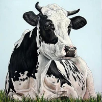 full squareround drill 5d diy diamond painting animal cow 3d rhinestone embroidery cross stitch 5d home decor gift