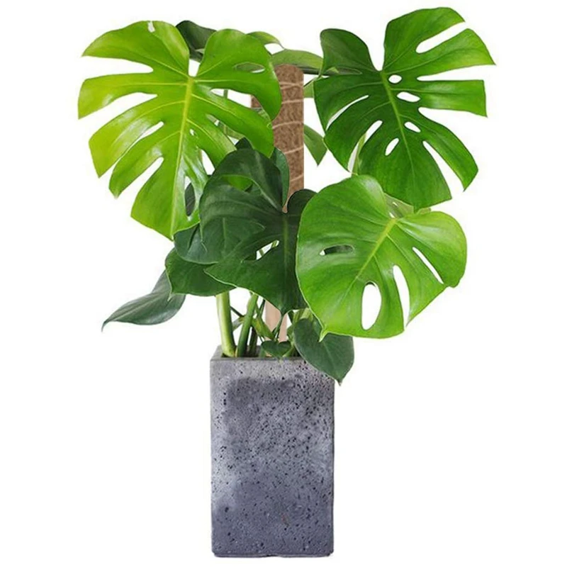 

Coir Totem Pole,17.7 Inch Coir Moss Stick Coir Moss Totem Pole for Plant Support Extension, Climbing Indoor Plants, Creepers 4 P