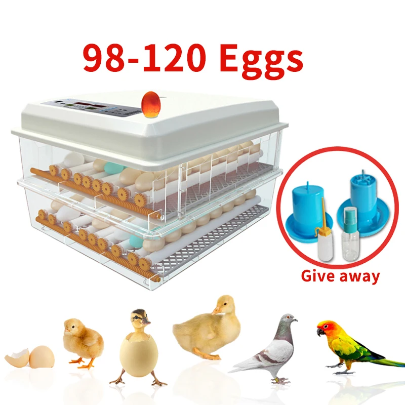 

DOAO Egg Incubator Brooder 98-120 Egg Incub Farm Quail Bird Chicken Automatic Incubator Hatcher Farm Poultry Hatchery Machine