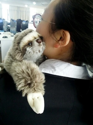 Новый трехпалый плюшевый Ленивец игрушки 30 см мягкие плюшевые куклы Тедди|sloth plush