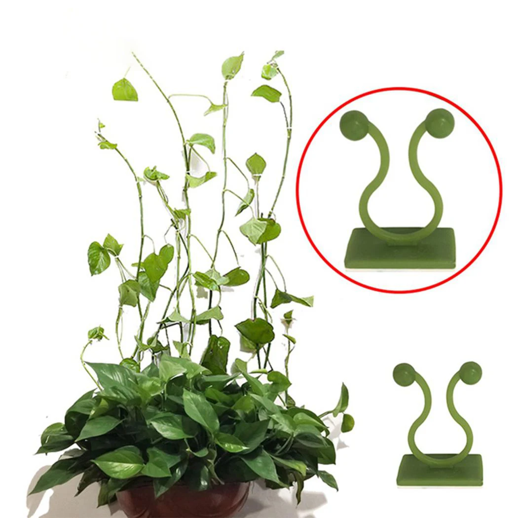 

Plant Care Wall Vines Fixture Accessories Plant Climbing Green & white
