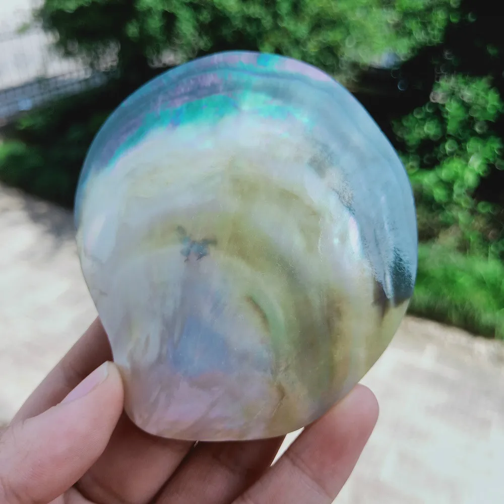 Натуральные ракушки черная швабра украшения сделай сам морские пляжные