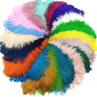 10pcslot colorful ostrich feathers for vase diydream catcher decor plume crafts hair wedding centerpiece needlework accessories