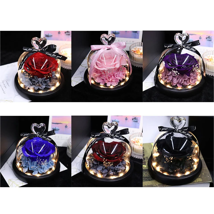 

Preserved Flower Rose in Glass Dome with Lights Eternal Rose Gift for Valentine's Day Christmas Mother's Day J99Store
