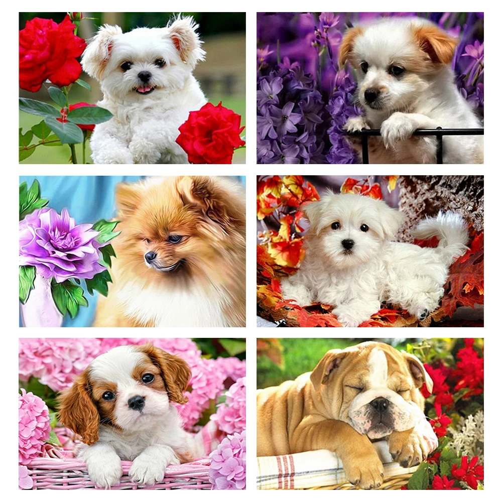 

Алмазная 5D картина с изображением кошки, милая полноразмерная картина с мультяшным рисунком животных, стразы, вышивка крестиком, новинка