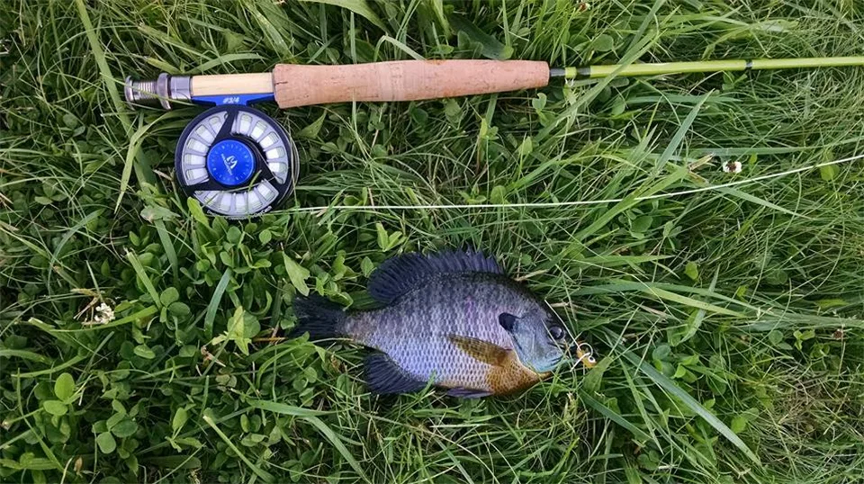 Maximumcatch Ultra Lite 1/2/3WT 6-7.6ft Fly Rod Средний Быстрый Малый Стример Летать Удочка с трубой Cordura