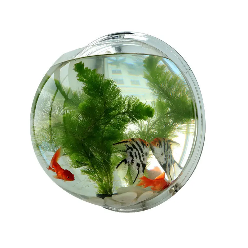 

Wall Hanging Acrylic Fish Tanks with Accessories Wall Mount Aquarium Water Tank Flower Pot Plant Vase Mini Aquarium Betta Fish
