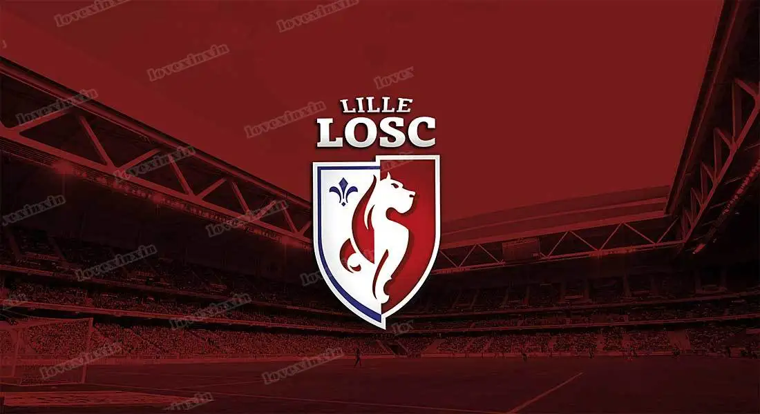 Настенная Картина на холсте с изображением футбольной команды Лилля без рамки |