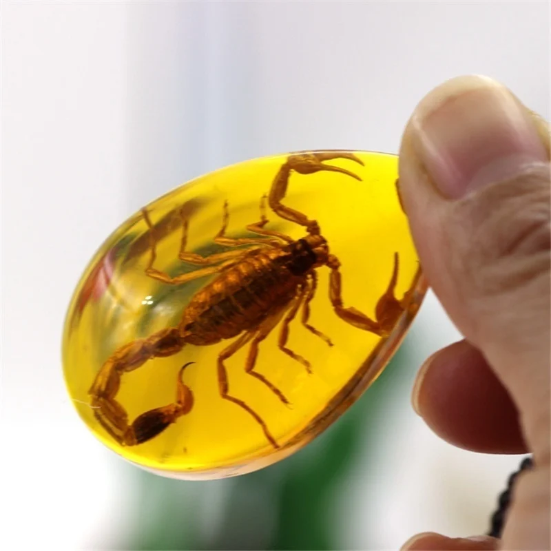 Ожерелье с подвеской в виде насекомых из натуральных скорпионов|Ожерелья