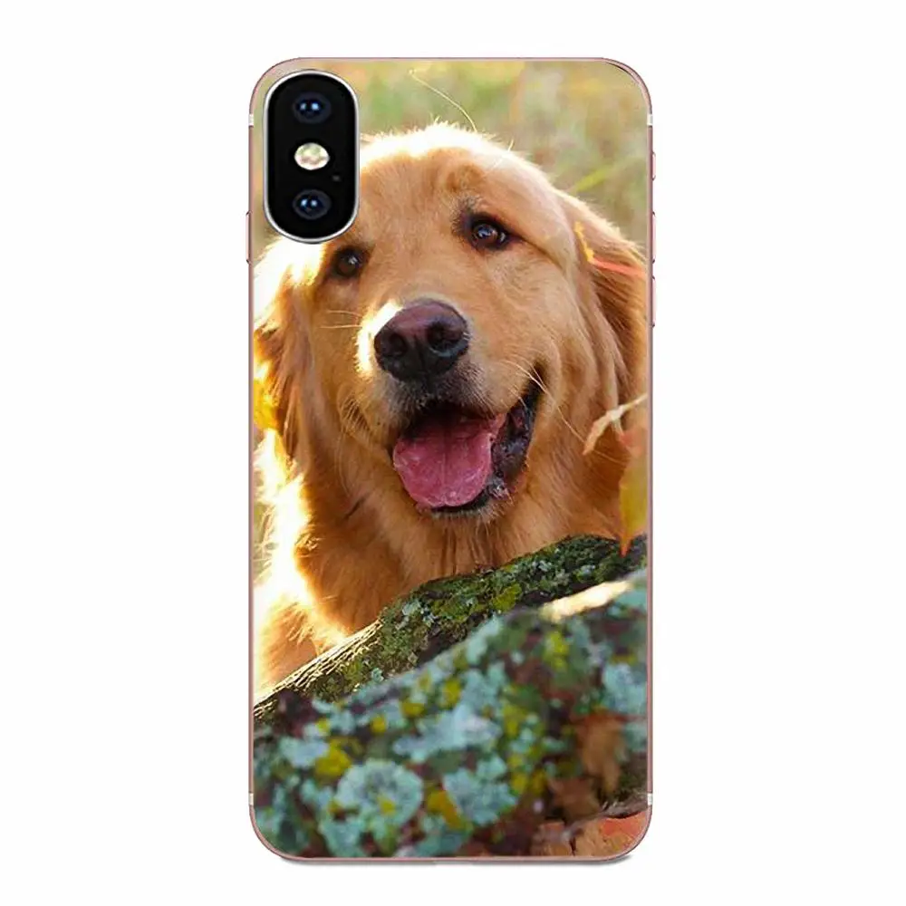 Мягкие ТПУ чехлы Capa Golden Retriever мультяшная собака для Samsung Galaxy Note 5 8 9 S3 S4 S5 S6 S7 S8 S9 S10 5G