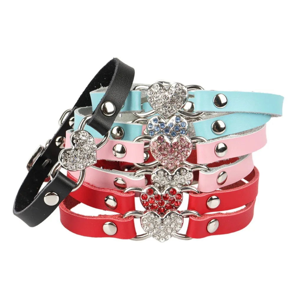 Ошейники для кошек домашних животных | Дом и сад