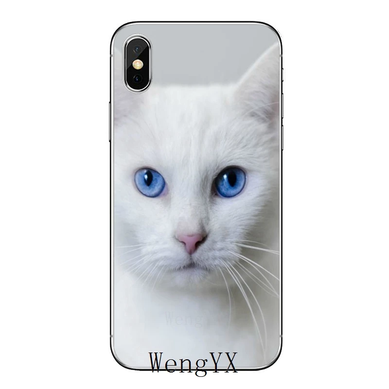 Pet ragdoll кошка синие глаза для huawei mate 20 10 9 P30 P20 P10 P9 pro Lite P Smart plus аксессуары чехол для телефона - Цвет: cat-blue-eyes-B-11