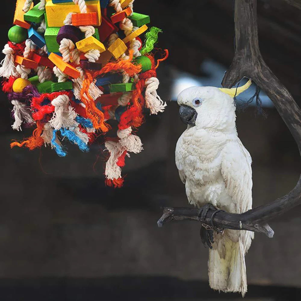 

Высококачественные лучшие блочные узлы, африканский серый какаду, ара, большой средний попугай, птица, жевательная игрушка, курица, игрушка ...