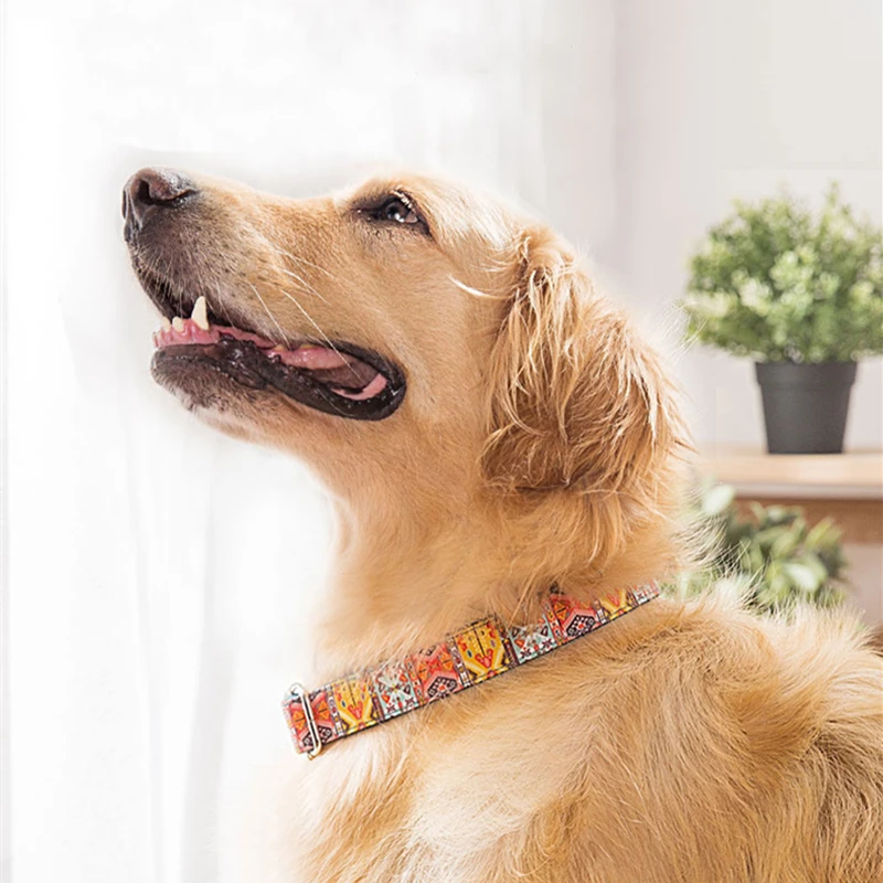 Hipidog Прямая поставка модный плетеный нейлоновый ошейник для собак поводок