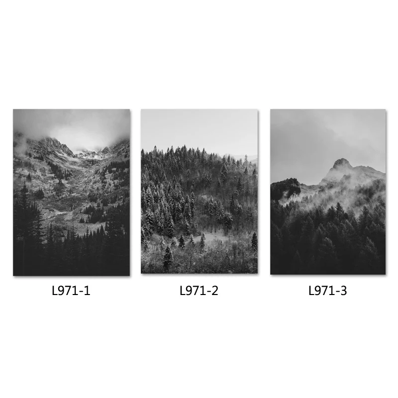 Черно-белые горы Туманный лес стены искусства картина Природа Пейзаж Плакат