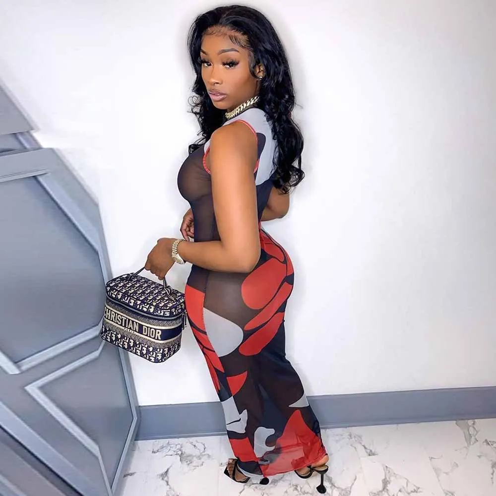 

Mesh Sheer Aesthetic Print See Through Dresses for Women Scoop Neck Sleeveless Party Dress Sexy Night Club Party Bodycon Dress