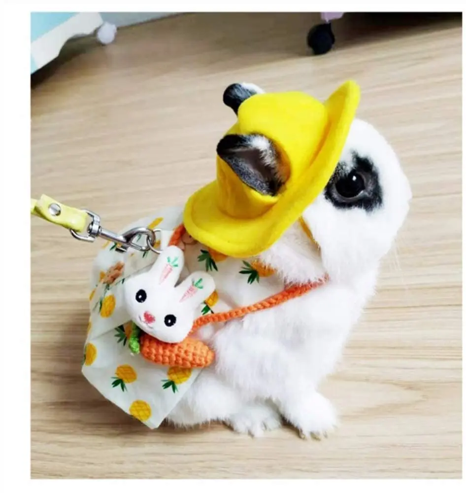 Conjunto de arn&eacute;s y correa para exteriores, bonito Chaleco de conejo, ropa con botones, decoraci&oacute;n para mascotas peque&ntilde;as, gatitos y animales peque&ntilde;os, para caminar-2