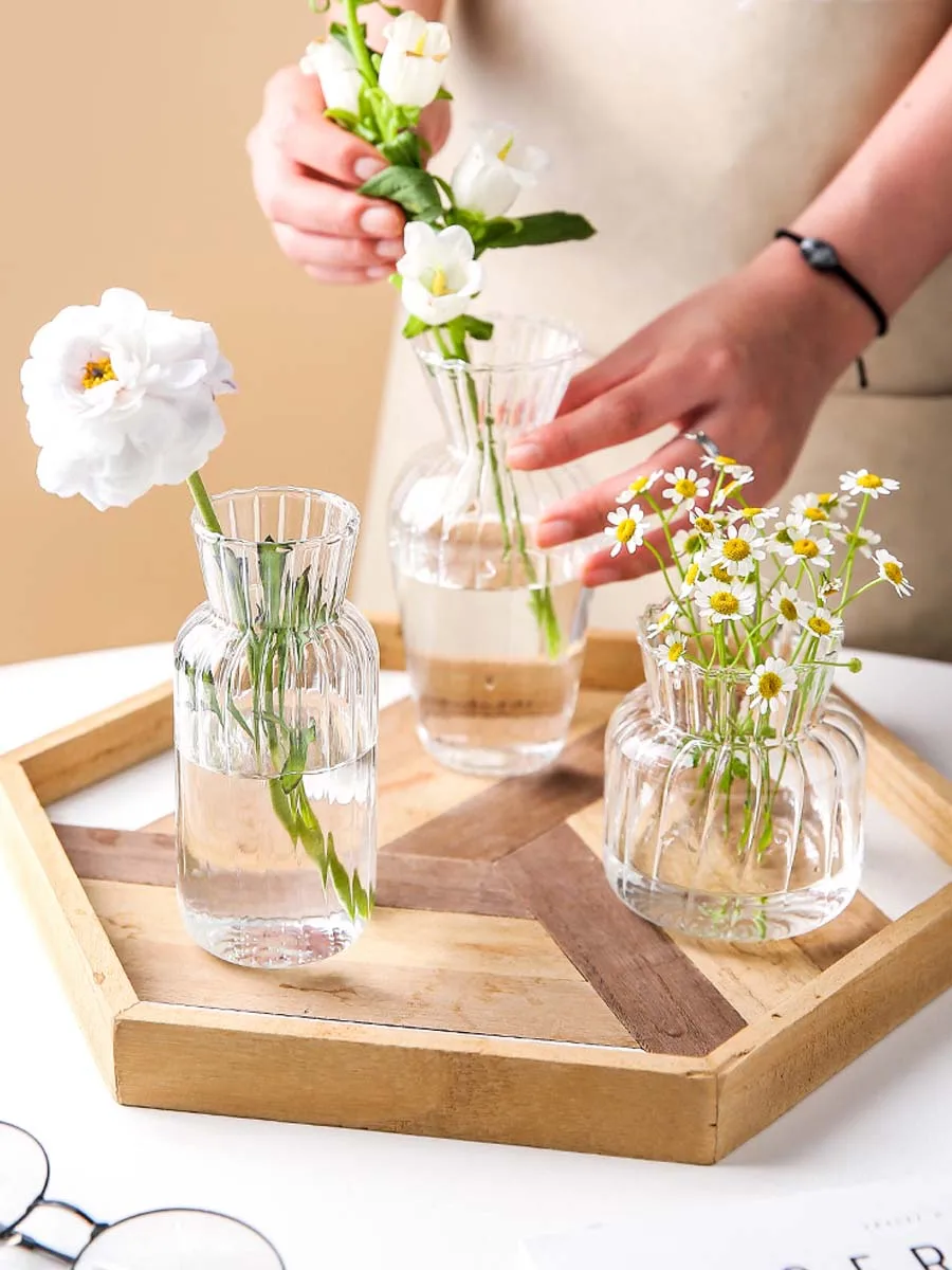 

Nordic Vase Decoration Home Glass Aesthetic Crystal Small Vase Transparent Modern Hydroponics Macetero Home Decoration AA50HP