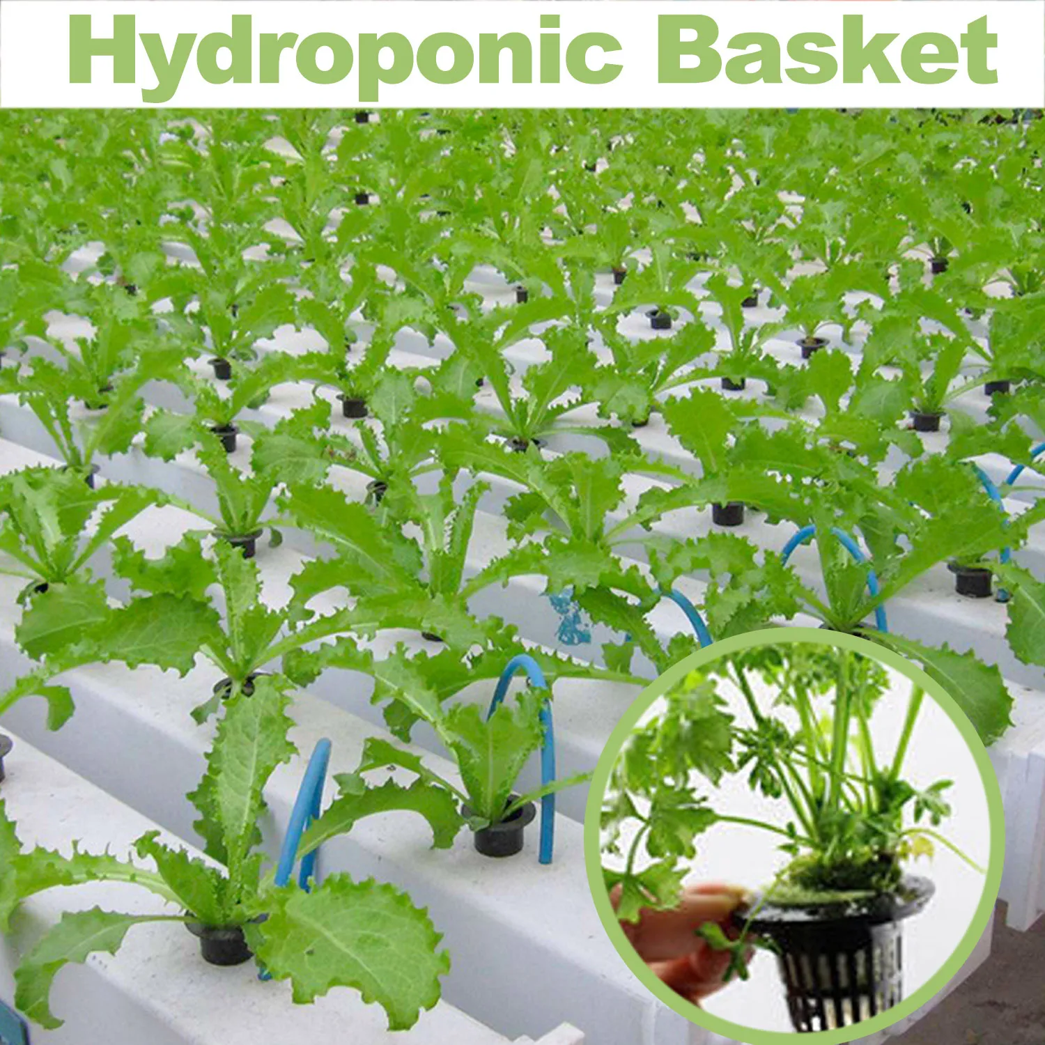 Behogar 20 штук гидропонических растений садовая сетка сетчатых Корзин из
