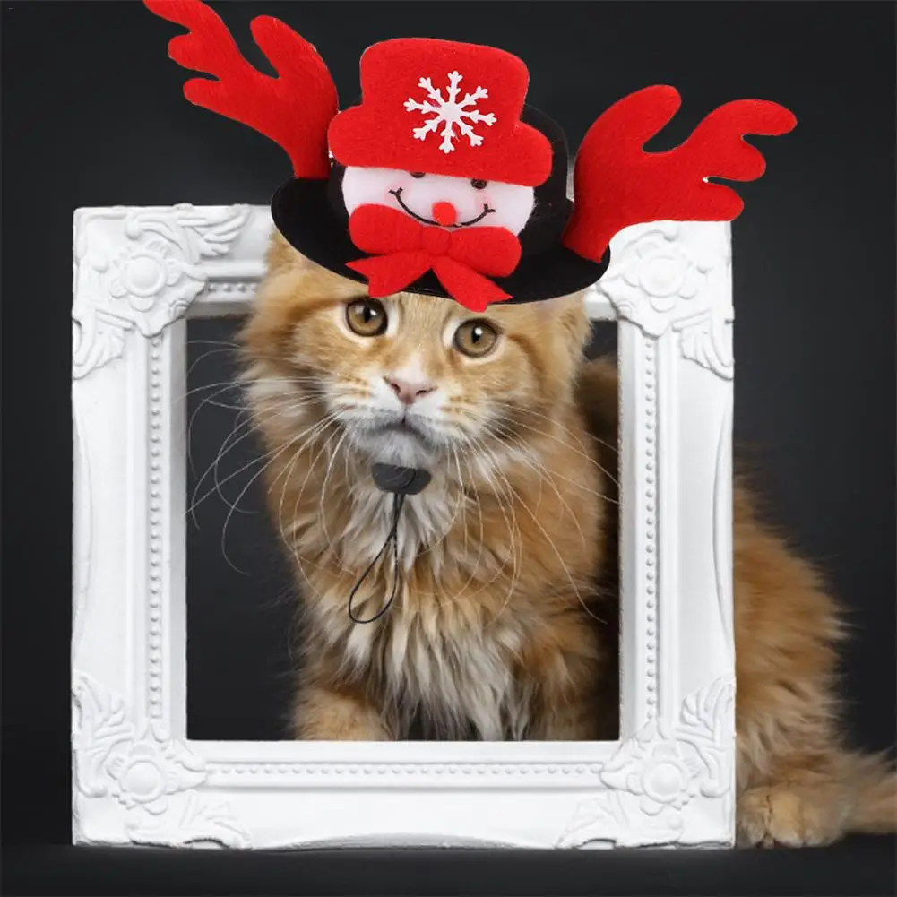Кошка шляпа для животных Рождественские парики кота собаки домашнего животного