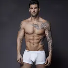 Трусы-боксеры мужские с заниженной талией, хлопок, пикантное нижнее белье для геев, бесплатная доставка