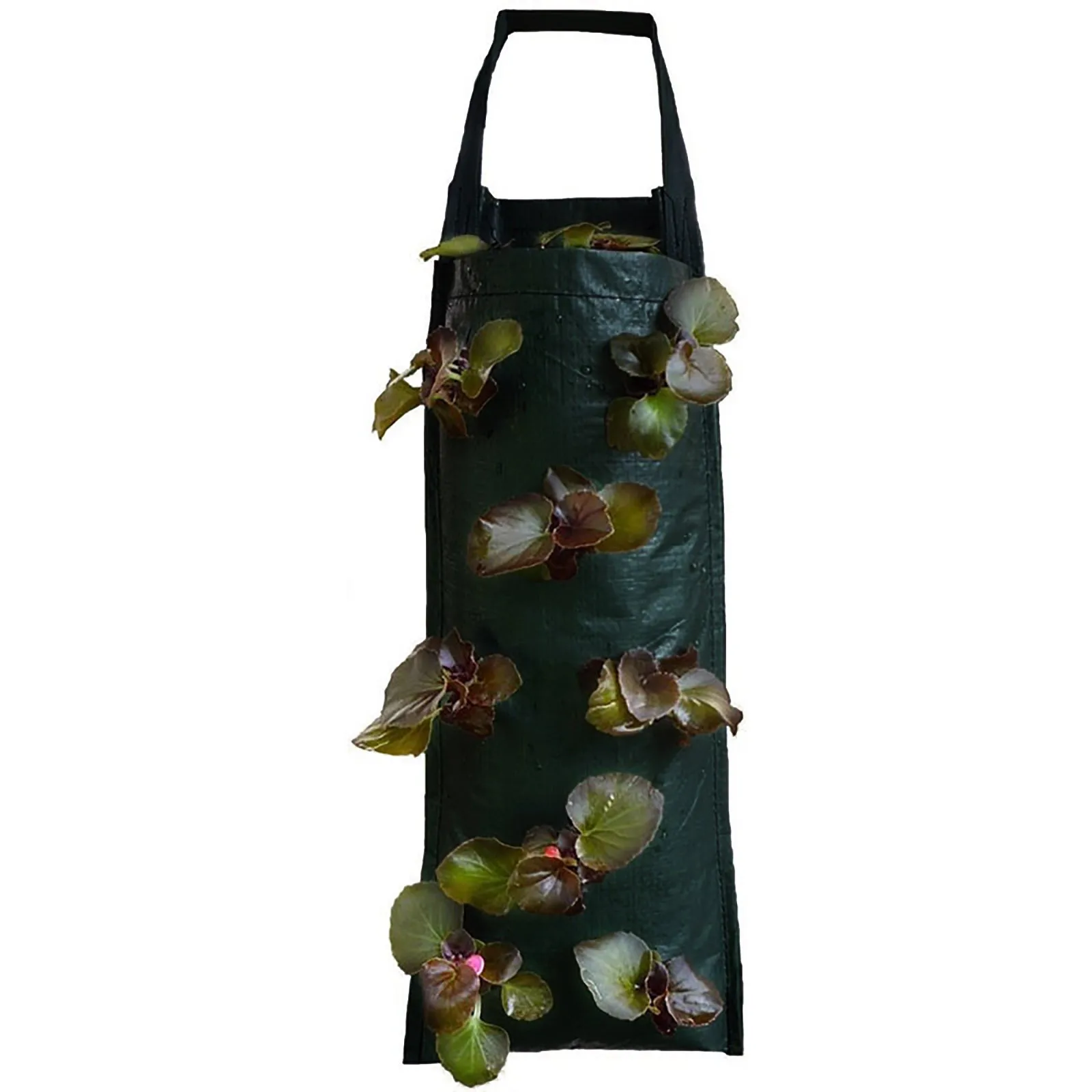 Садово-огородный висит клубника посадка сумка для растений многопортовое