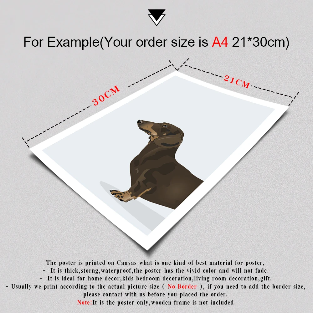 Забавная картина Постер с изображением животных шоколада таксы собаки