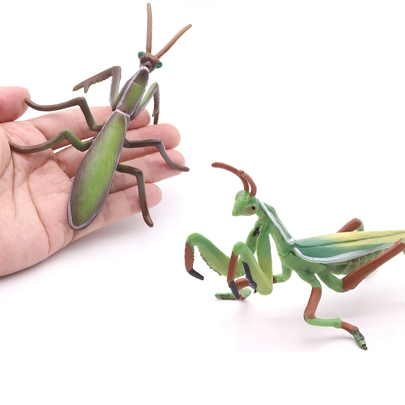 

Solid simulation praying mantis model prayer bug insect ornaments