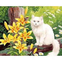 photocustom pictures by numbers cat diy frame oil painting by number animals on canvas diy home decoration 60x75cm