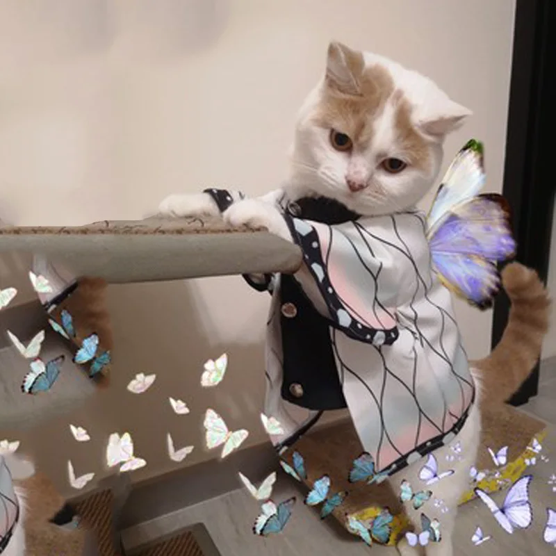 Костюм для косплея по мотивам киметасу танджиру агатсума Зеницу|Костюмы| |