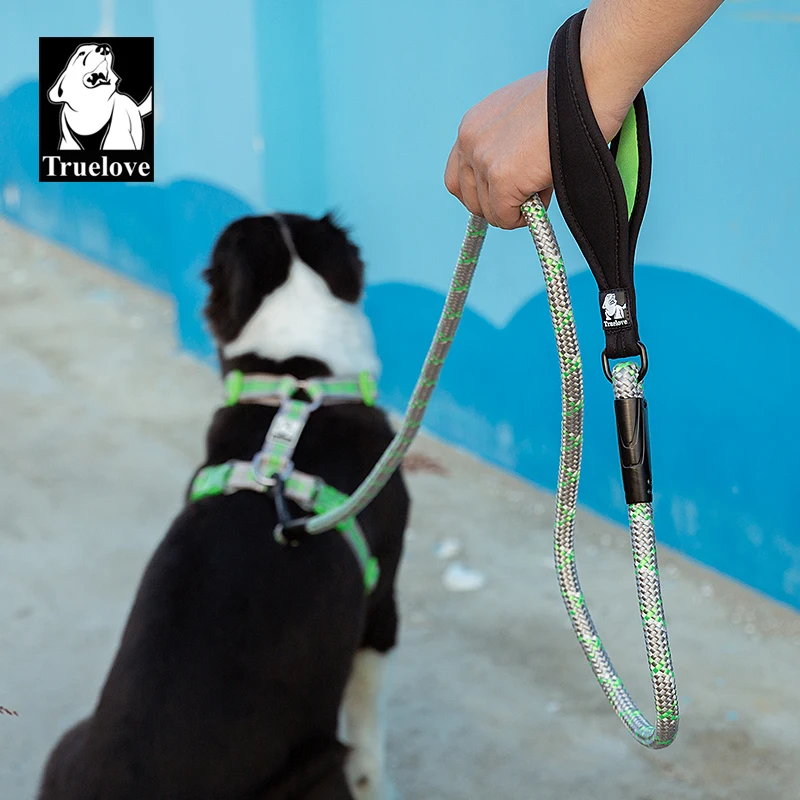 Аксессуары для собак поводок аксессуары домашних животных | Дом и сад