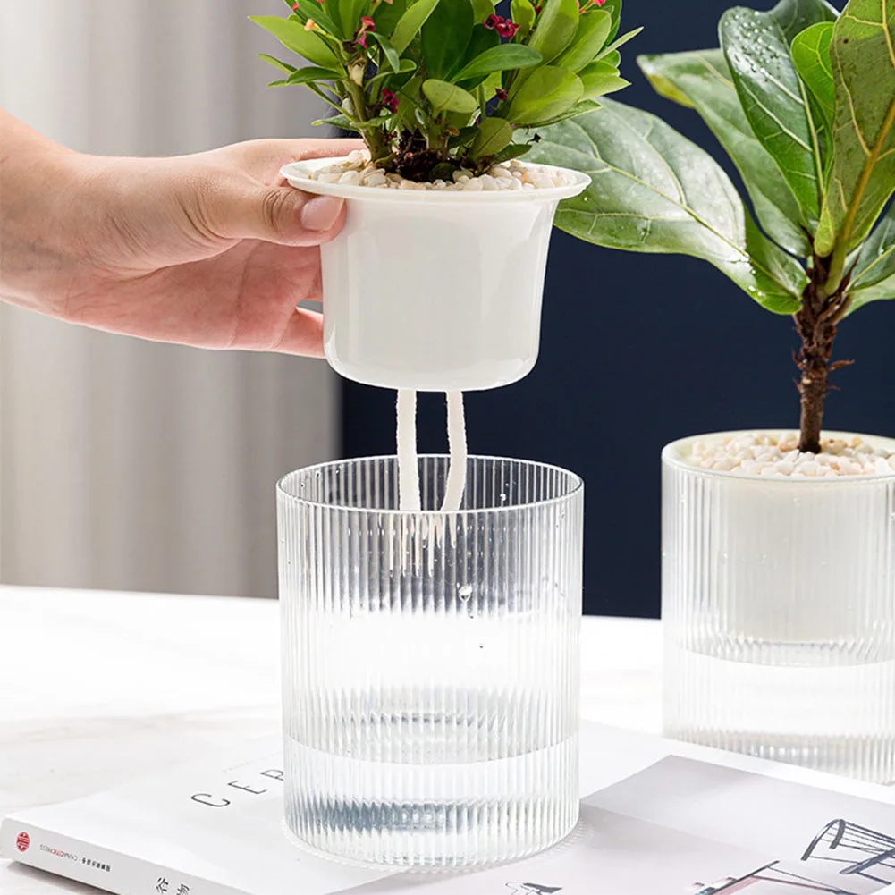 

Automatic Water-absorbing And Water-storing Small Flower Pot Transparent Hydroponic Double-layer Flower Pot Watering Planter