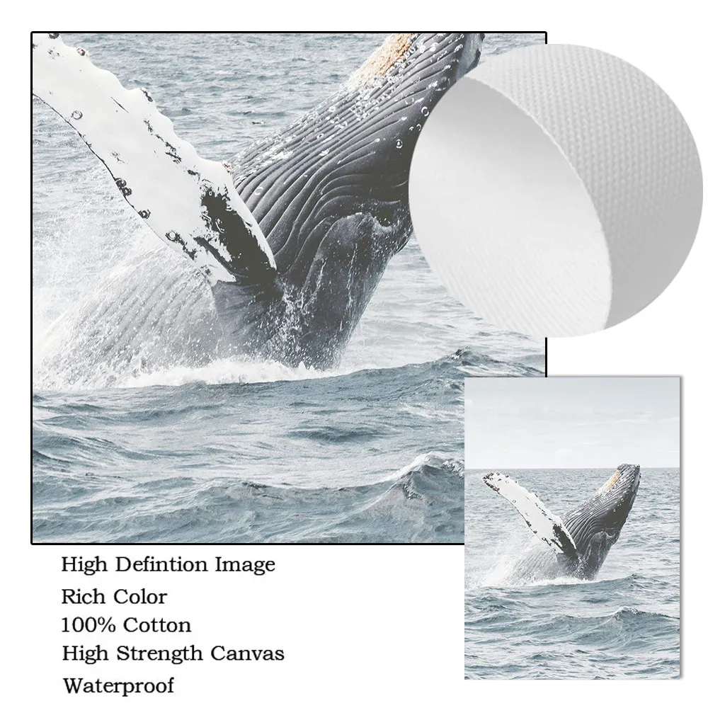 Постер в скандинавском стиле с изображением морских КИТ и птиц Пляжное кокосовое