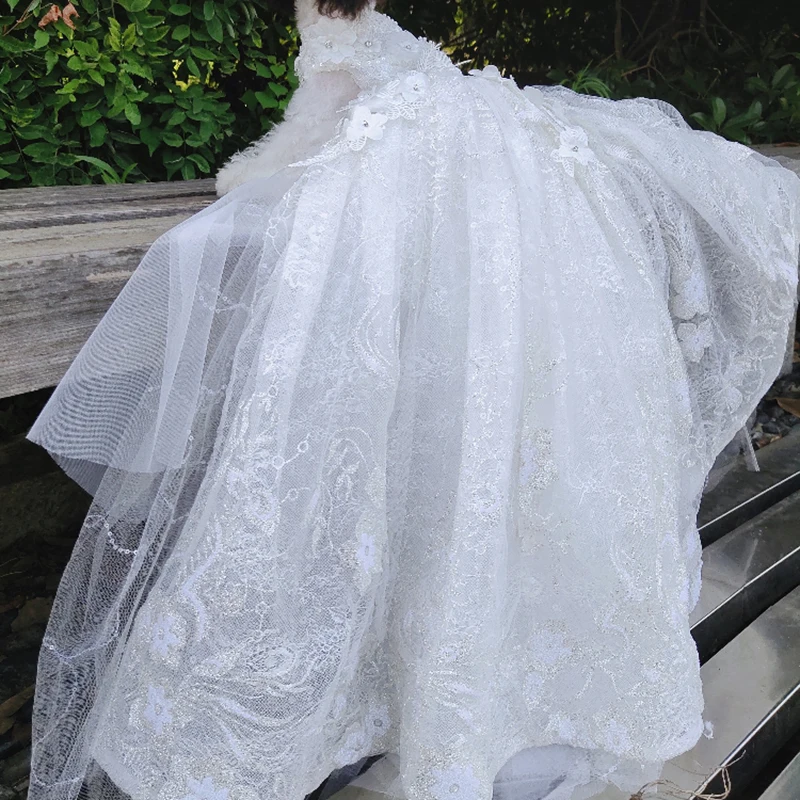 Роскошное платье с вышивкой и шлейфом для маленьких собак свадебное блестящее