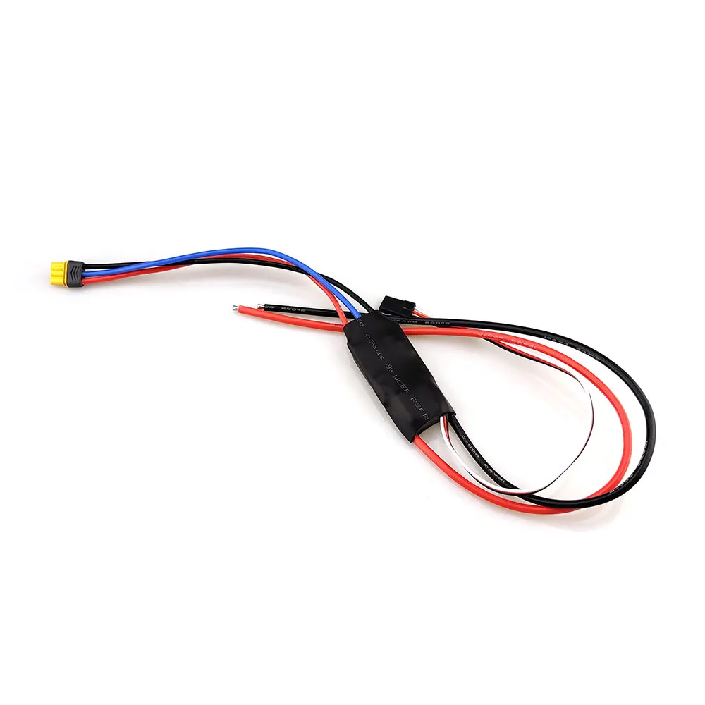 Электронный регулятор 2 6S 30A ESC с штепсельной вилкой Amass MR30 для JMRRC BPP 25 мини